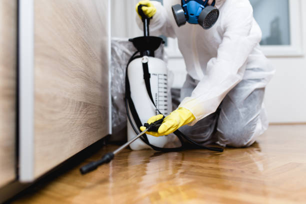 Best Pest Control Treatment  in South Riding, VA