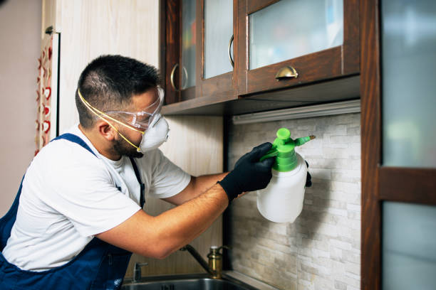 Wasp Removal Services in South Riding, VA