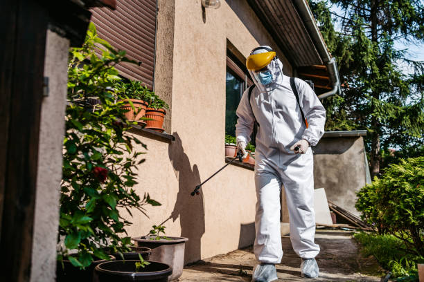 Best Spider Control Near Me  in South Riding, VA