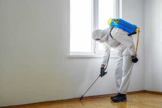 Best Best Pest Control Companies  in South Riding, VA