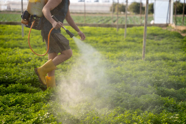 Best Pest Removal Services  in South Riding, VA