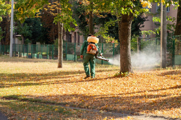 Best Mosquito Control Services  in South Riding, VA