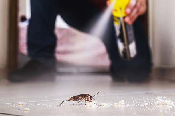 Best Pest Prevention Services  in South Riding, VA