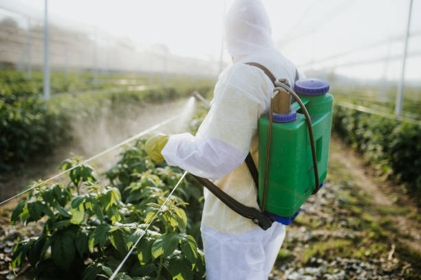  South Riding, VA Pest Control Pros